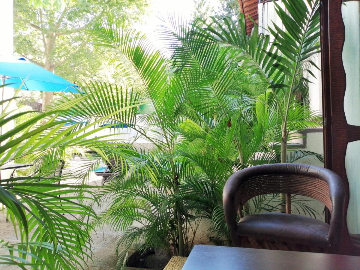 Ceiba Studios Zihuatanejo Exterior photo